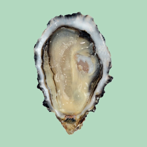 royale-isigny-normandie-huitre